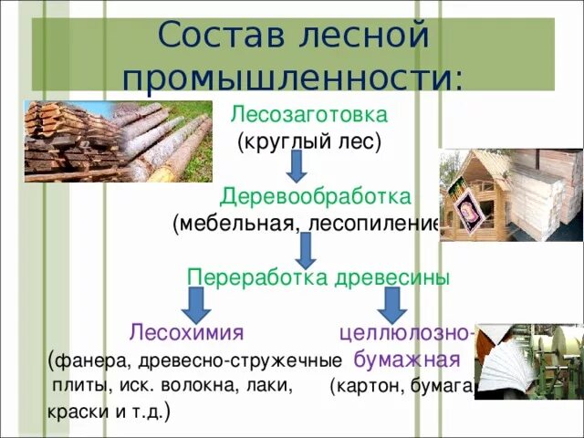 Тема: Лесная промышленность
