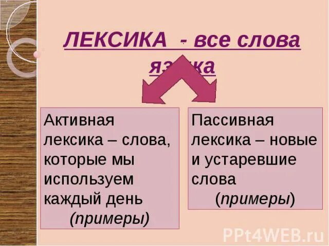 Слова активна лексика. Активная и пассивная лексика. Пассивная лексика примеры. Активная лексика примеры. Слова пассивной лексики.