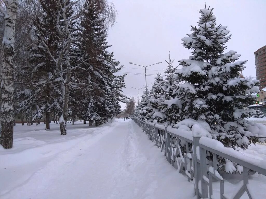 Погода в бердске. Фото Мороза в Бердске. Морозы в Якутии 2020. Вечер холодно и морозно. Погода в Бердске Новосибирской области.