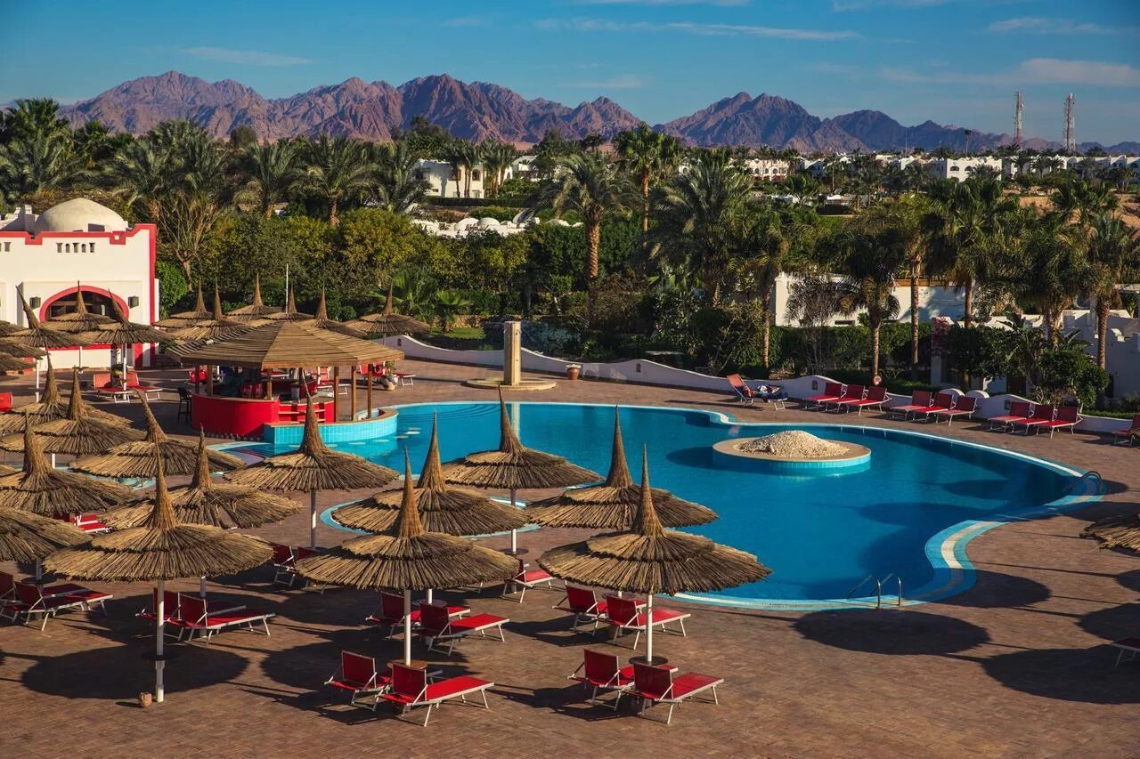 домина оазис шарм-эль-шейх. Domina harem 5 шарм эль шейх. Domina coral bay harem 5*. Domina coral bay king's lake. Domina coral bay harem 5 египет.