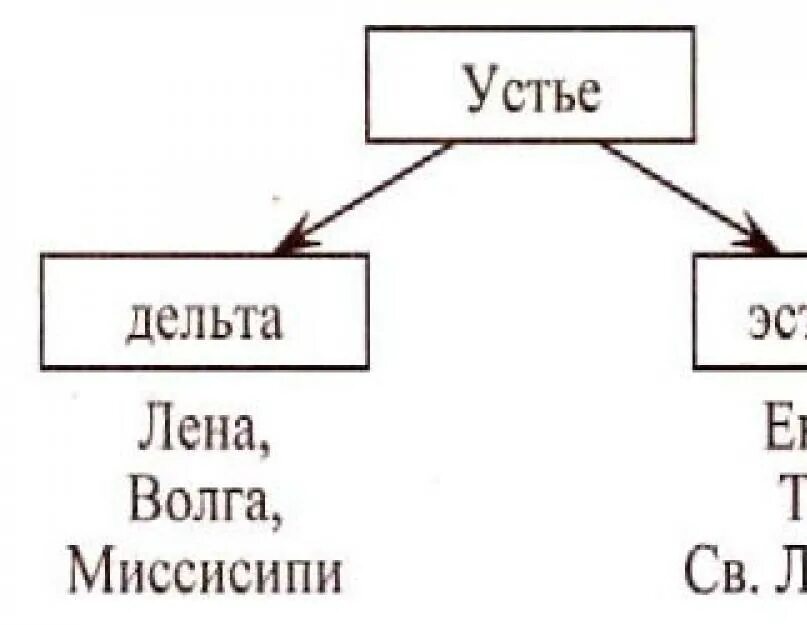 Как рассчитать устье реки. Устье дельта. устье дельта и эстуарий. дельта и эстуарий схема. дельта реки схема.