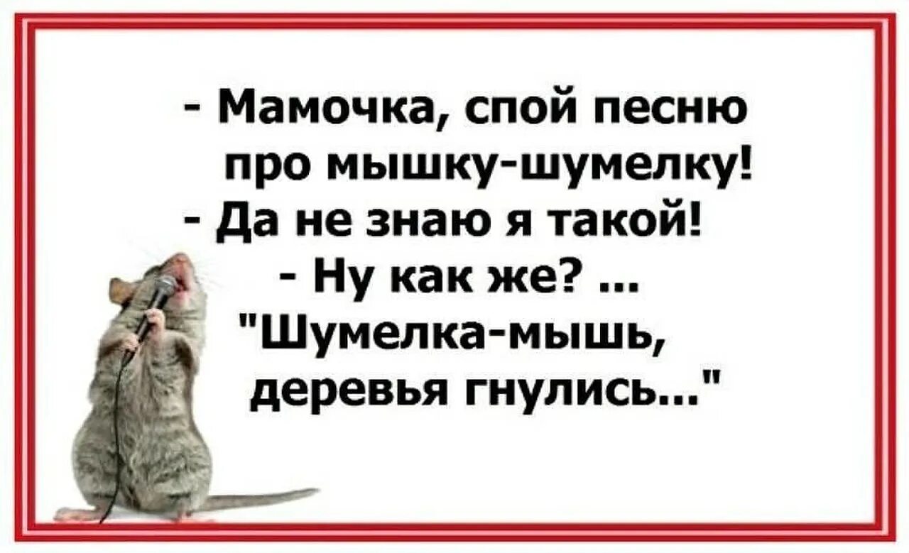 Песни спой мне на ночь. Анекдоты про мышей. Анекдот про мышку. Анекдоты про мышей смешные. Смешные фразы мышки.