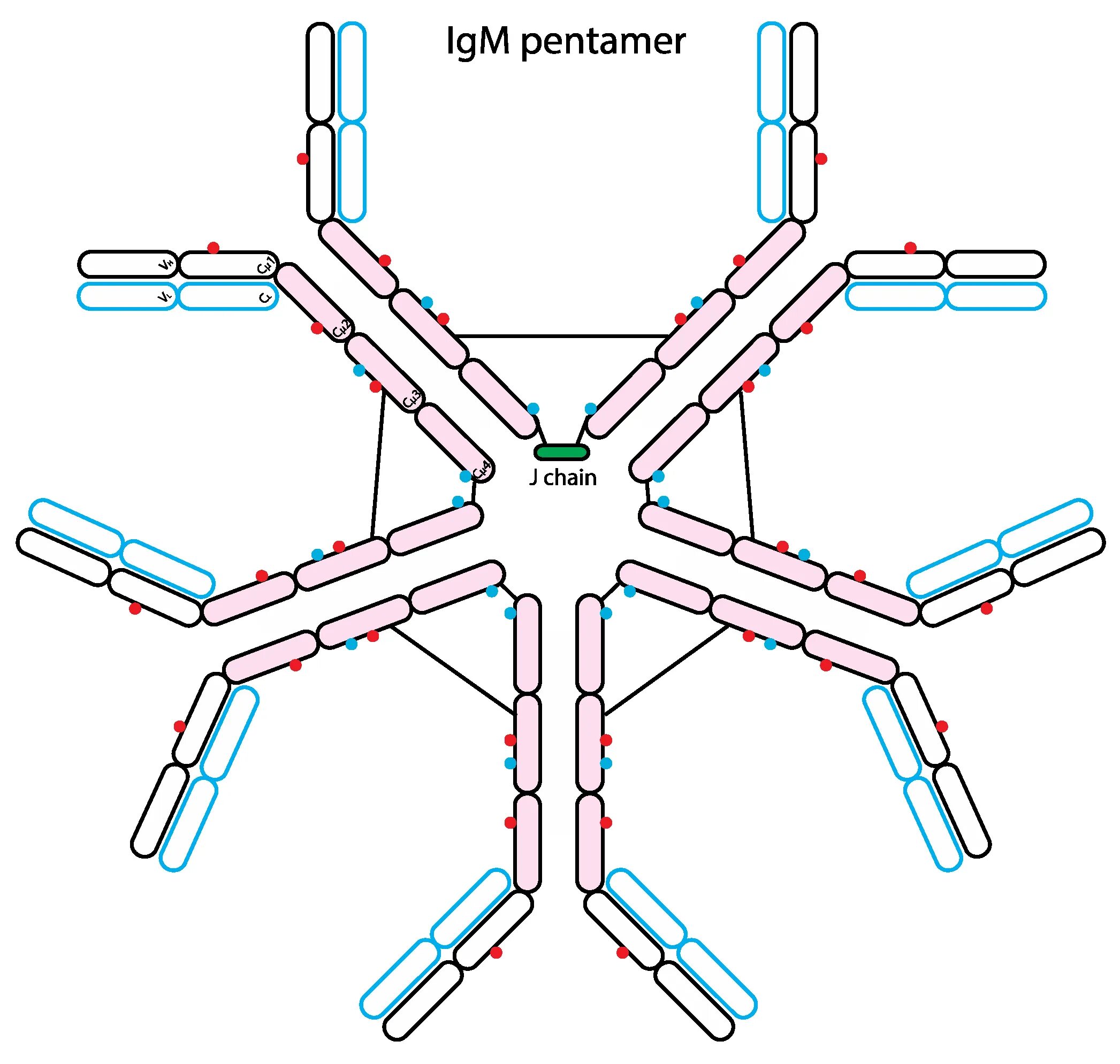 Форум igm. Форум igm