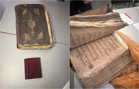 Ит стиліндегі фотосуреттердегі жетілген кискалар