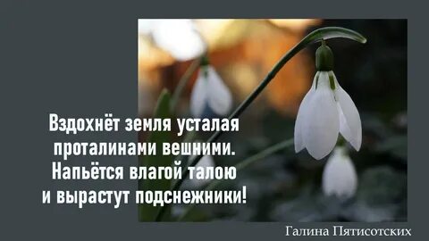 Весенний рифма