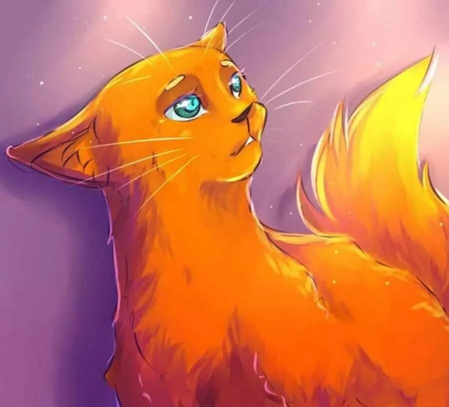 Звезды рыжий кот. Коты воители огнезвезда. Коты воители песчаная буря. Звезды рыжий кот. Бело рыжий кот похож на деда.