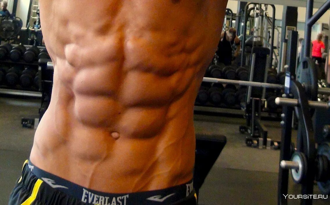 Фото кубиков пресса. Мужской пресс. Фото кубиков пресса. Фото кубиков пресса. Фото кубиков пресса.