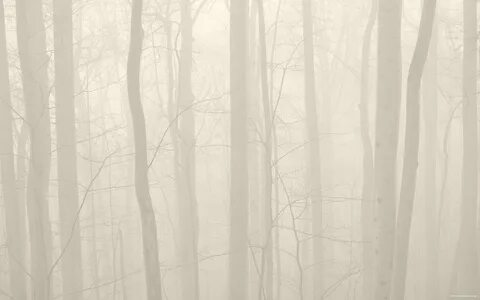 Forest beige