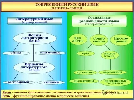 Назовите разновидности национального языка