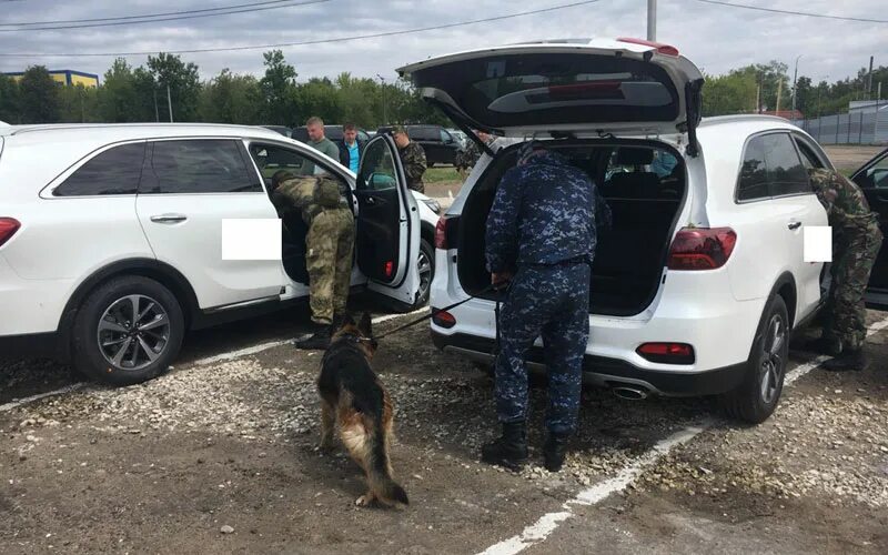 Операция анаконда в полиции