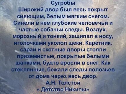 Широкий двор был покрыт сияющим белым снегом