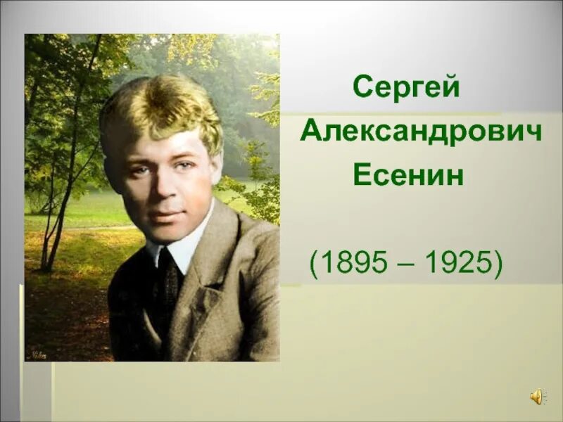 Список стихотворений есенина. Стихотворение Сергея Сергея Александровича Есенина.