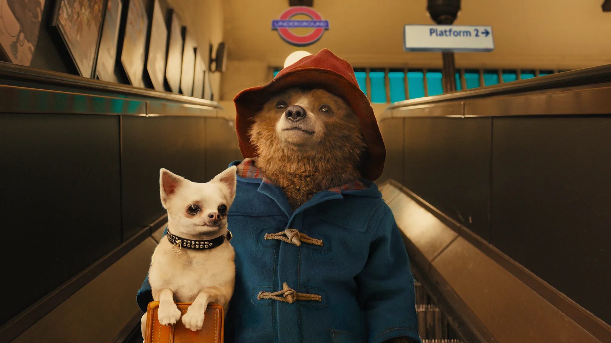 Платформа кинопоиск. Приключения Паддингтона / Paddington (2014). Приключения Паддингтона 3. Приключения Паддингтона 2.