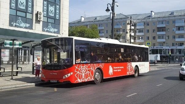 Автобусы Пермь. Пермский автобус 2021. Пермский автобус с гармошкой. 1 Автобус Пермь.