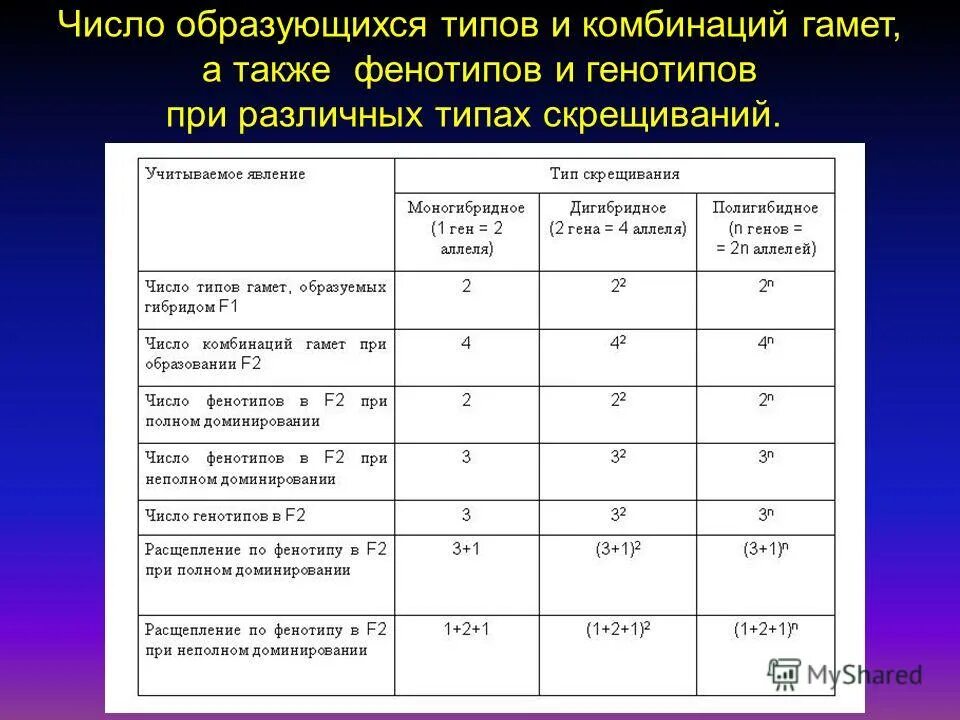 Генотип и фенотип в задачах. Формулы расщепления по генотипу и фенотипу. Аа × аа. Закон расщепления во втором поколении. Число генотипов.