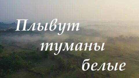 Белые туманы плывут над