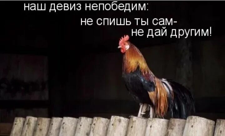 Оказывается я уже давно непобедим