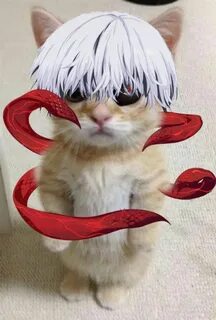 Кот дед инсайд ава