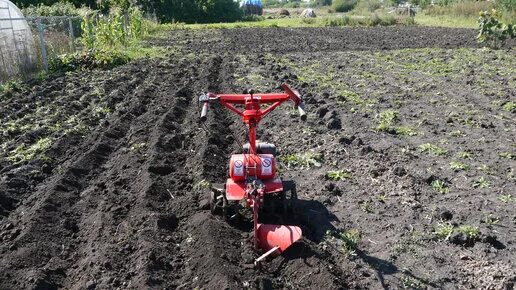 Пашим плугом под зиму. Культиватор декадо. плуг для культиватора. вспашка земли мотоблоком плугом. мотоблок с плугом и культиватором.