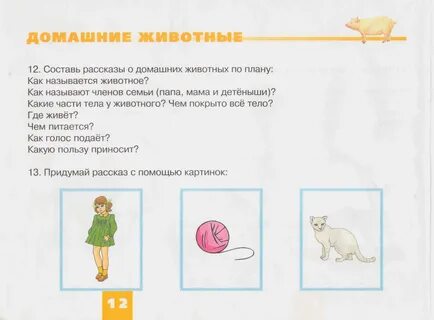 Какой план рассказа что за зверь