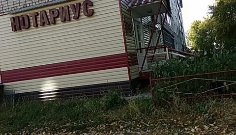 Телефон нотариуса новоалтайск