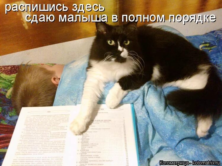 полный порядок. мемы всё в порядке. была в полном порядке. была в полном порядке. была в полном порядке.
