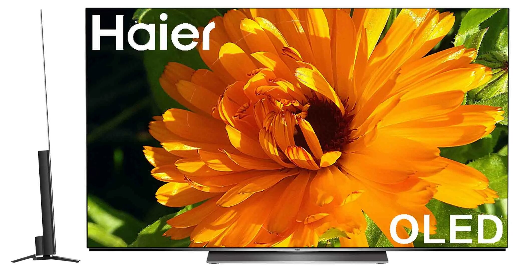 Haier OLED 65. Haier h65s9ug Pro. 65" Haier h65s9ug Pro. Телевизор OLED Haier h65s9ug Pro. Купить телевизор haier s7