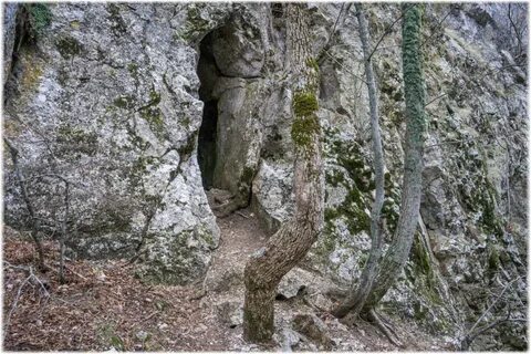 Грот тропой