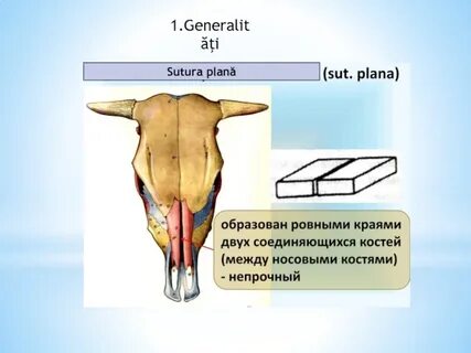 Система планас