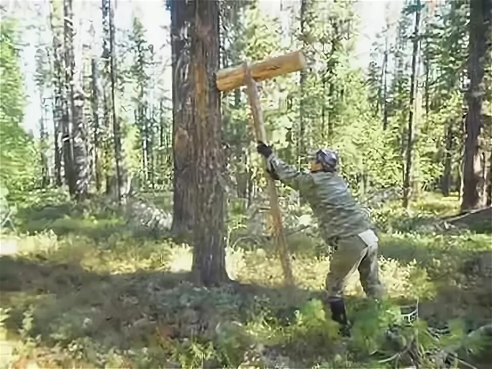 Как сделать колот. Колотушка для кедра. Молоток для сбора кедровых шишек. Молот для кедра. Колотушка для сбивания шишек.