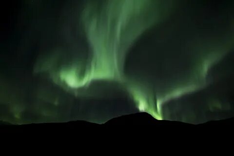 Green night