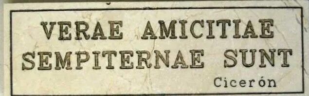 Amantes sunt amentes перевод. Verae amititiae sempiternae sunt фраза. Verae amititiae sempiternae sunt надпись. Verae amititiae sempiternae sunt обои.