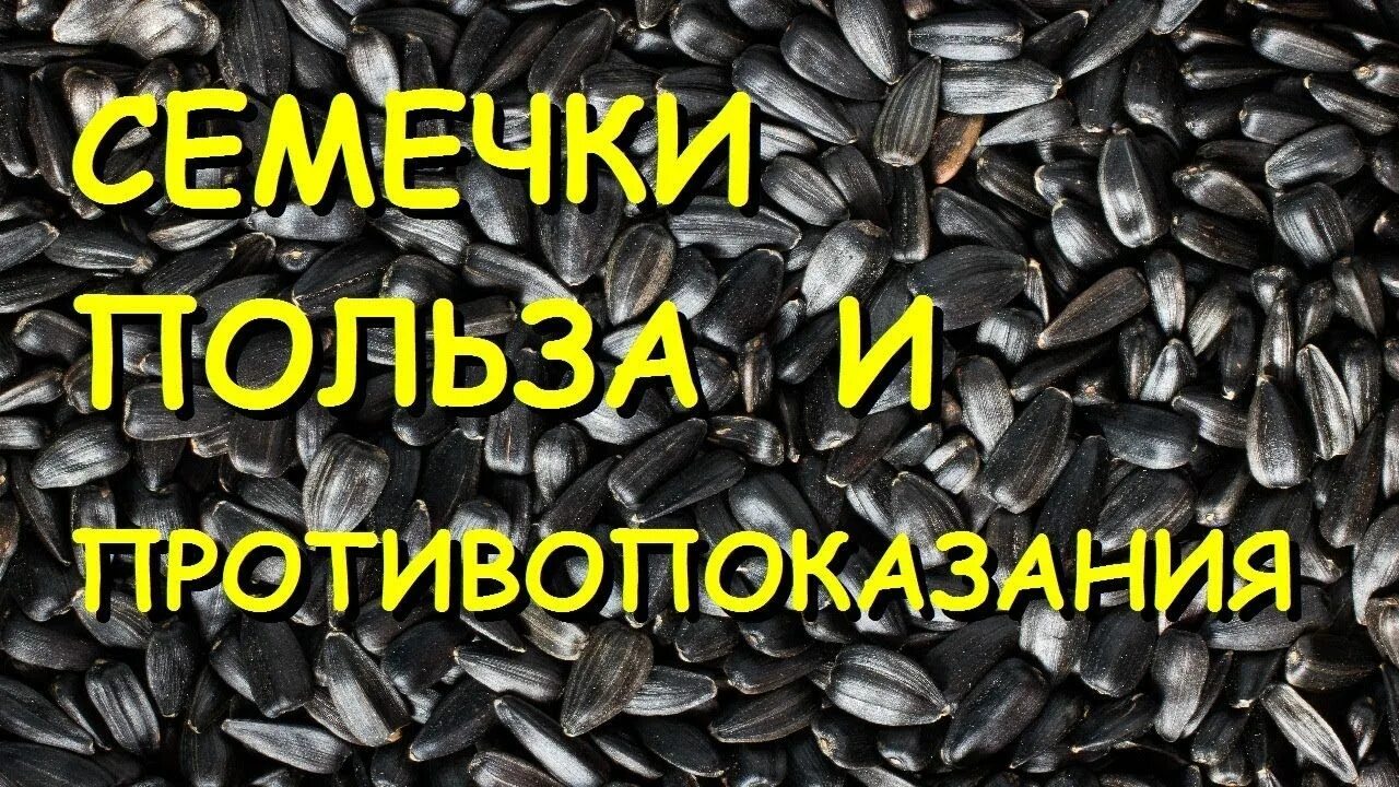Как влияют семечки. Полезные семечки. семечки польза. вредные семечки. польза и вред подсолнечных семечек.