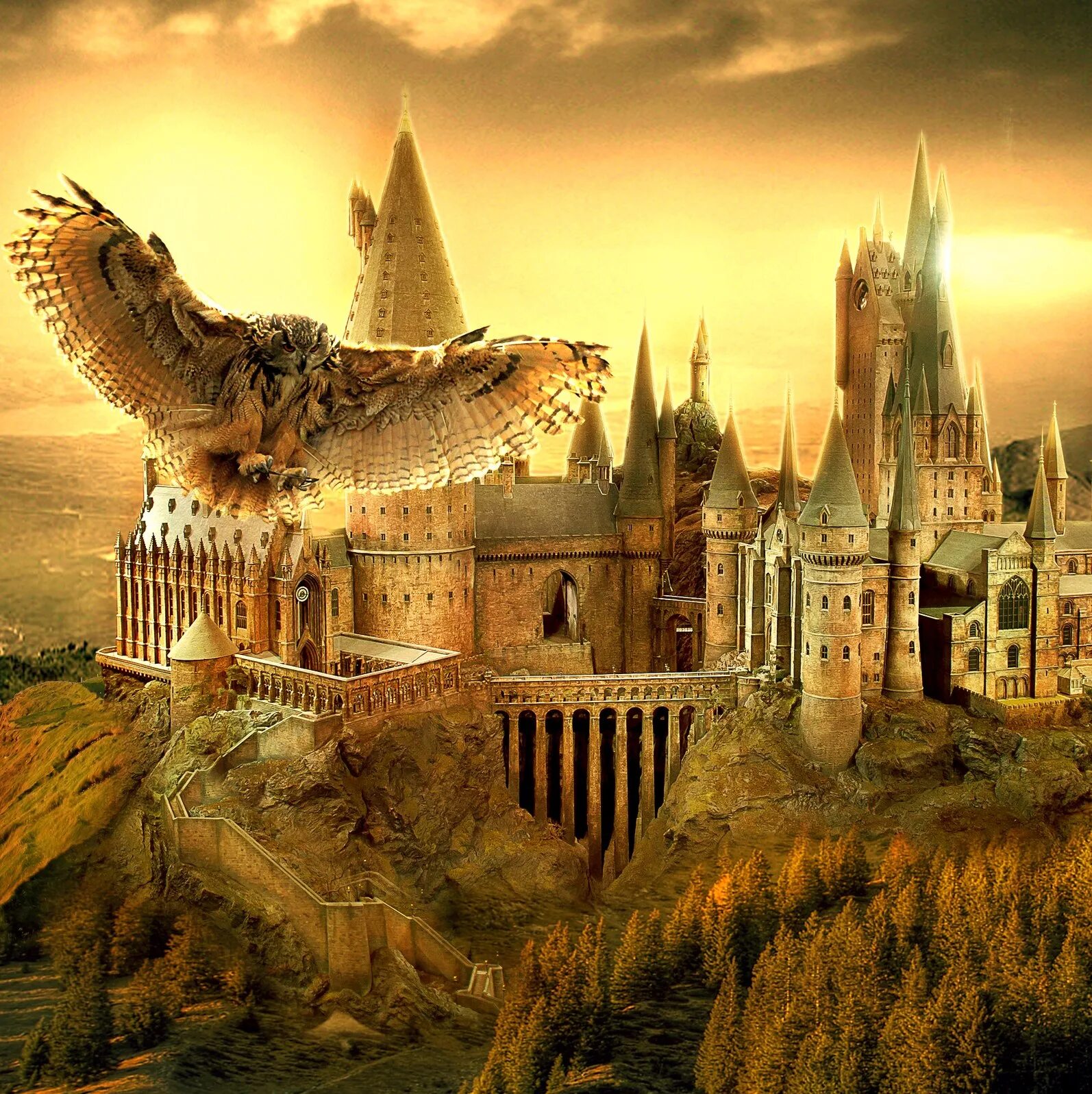 Хогвартс панорама. Стар против сил зла хогвартс. Номер хогвартса. Флаг слизерина и гриффиндора. Постеры гарри поттер слизерин.