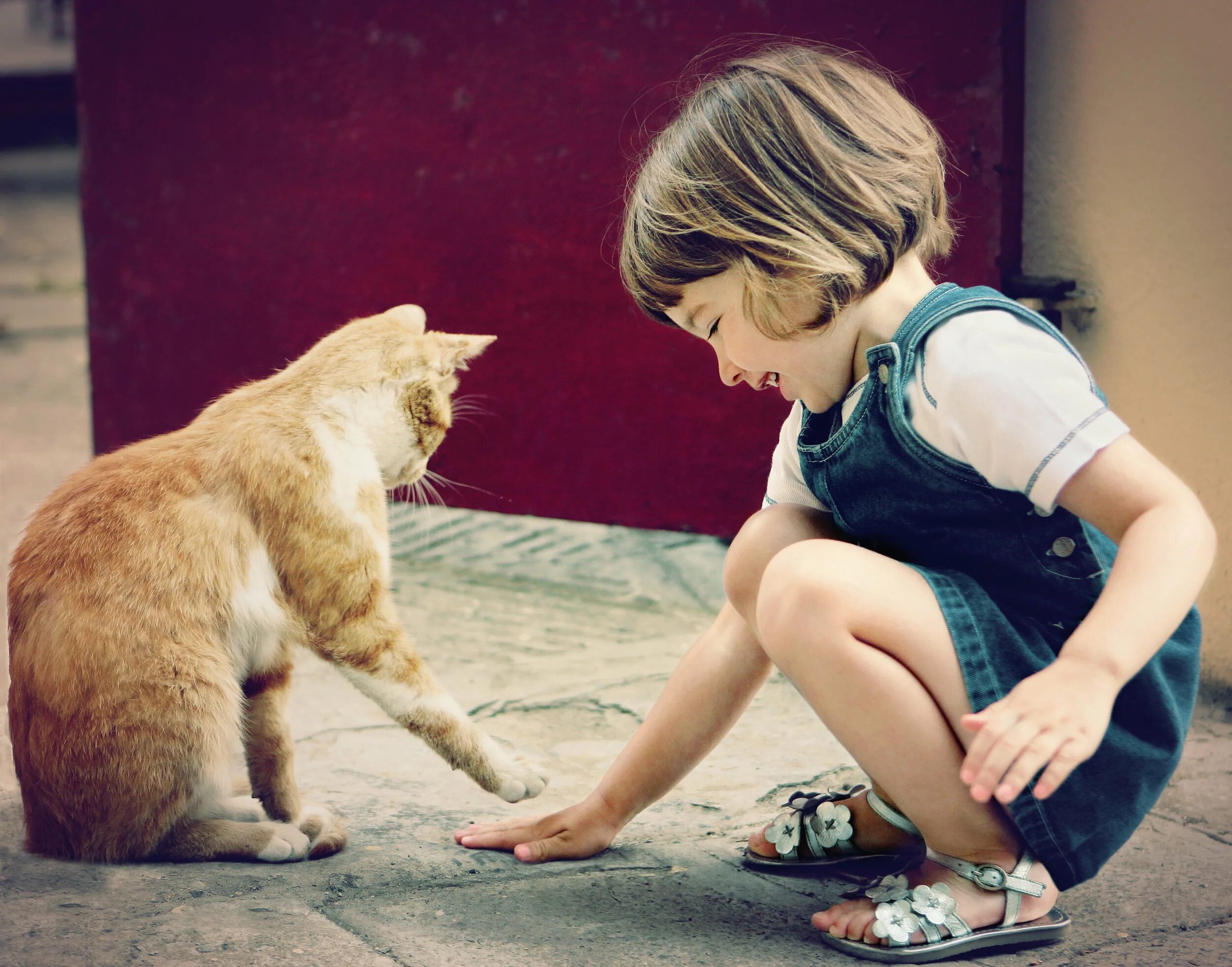 Котенок играет малыша. Для детей. Животные. Люди и животные. Кот для детей. Домашние животные для детей.