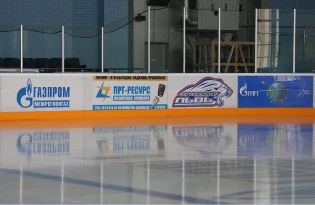 хоккейные лиги эмблемы. хоккей логотип. Iof ski orient. названия детских хоккейных команд. маскот питтсбург пингвинз.