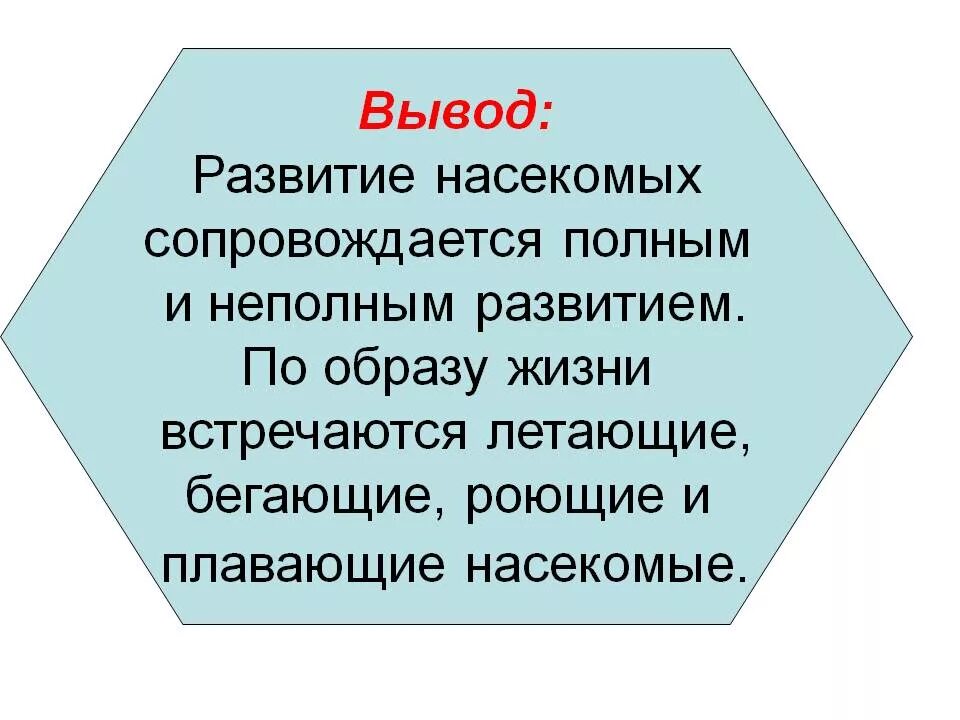 Вывод на тему развитие насекомых. Вывод о направлении эволюции насекомых. Вывод о пути эволюции насекомых. Вывод по теме развития насекомых. Направление эволюции вывод