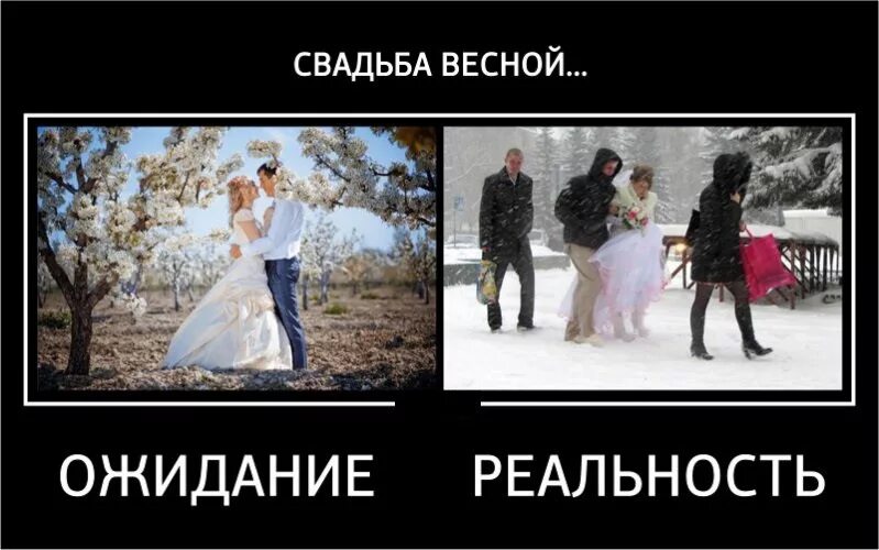 Что идет после свадьбы. Свадьба прикол. Свадьба картинки прикольные. Свадебные демотиваторы. Приколы про свадьбу картинки.