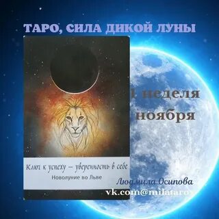 Сила мысли таро