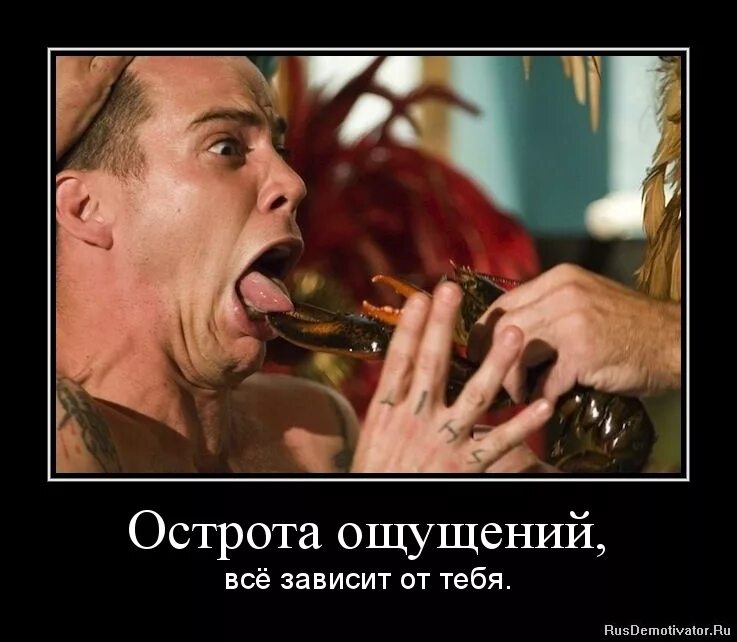 Острота ударение и значение. Острота выражения. Таблица остроты зрения. Острота зрения: понятие, способ определения. Острота словосочетание.