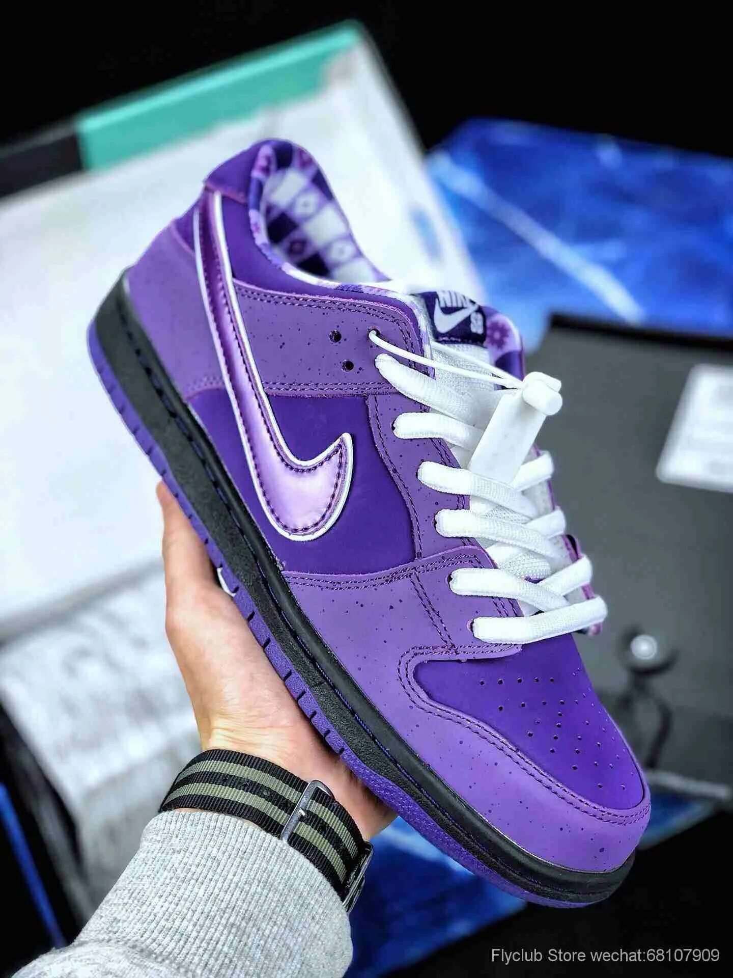 Фиолетовые данки сб. Nike SB Dunk Low Purple. Nike SB Dunk Low фиолетовые. Nike SB Dunk Low Purple Lobster. Nike SB Dunk Purple.