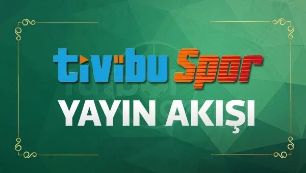 Tivibu spor