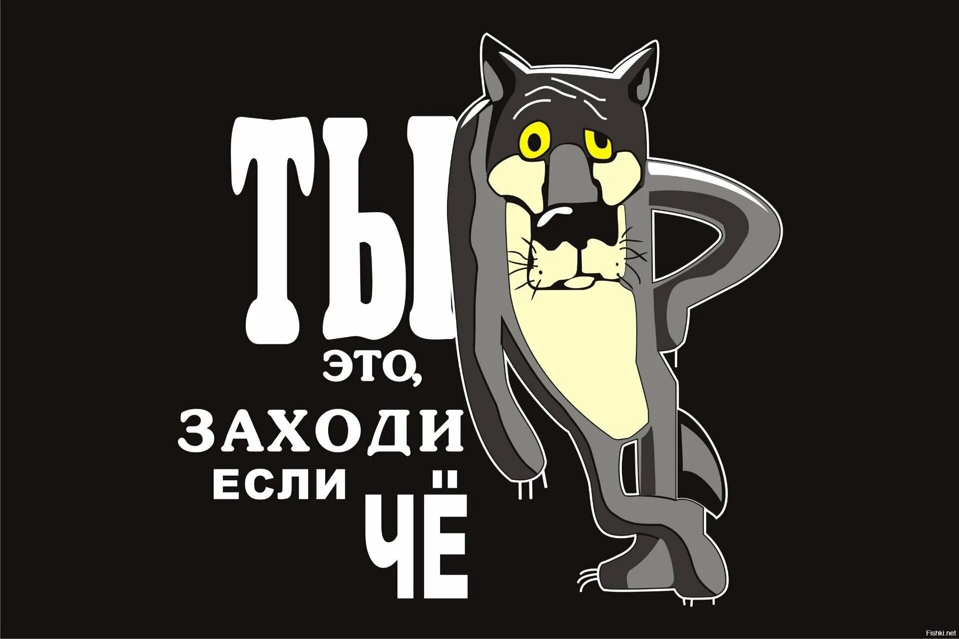 Волк заходи если че. Волк ты заходи если че. 2021 заходи. Енот илья. Енот илюха.