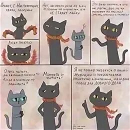 Кот 1 вариант
