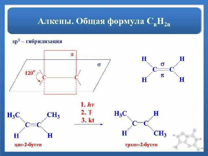 Бутен 2 гибридизация