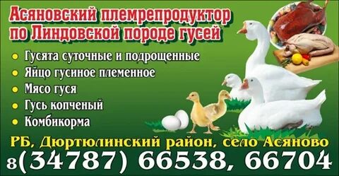 Благоварская птицефабрика