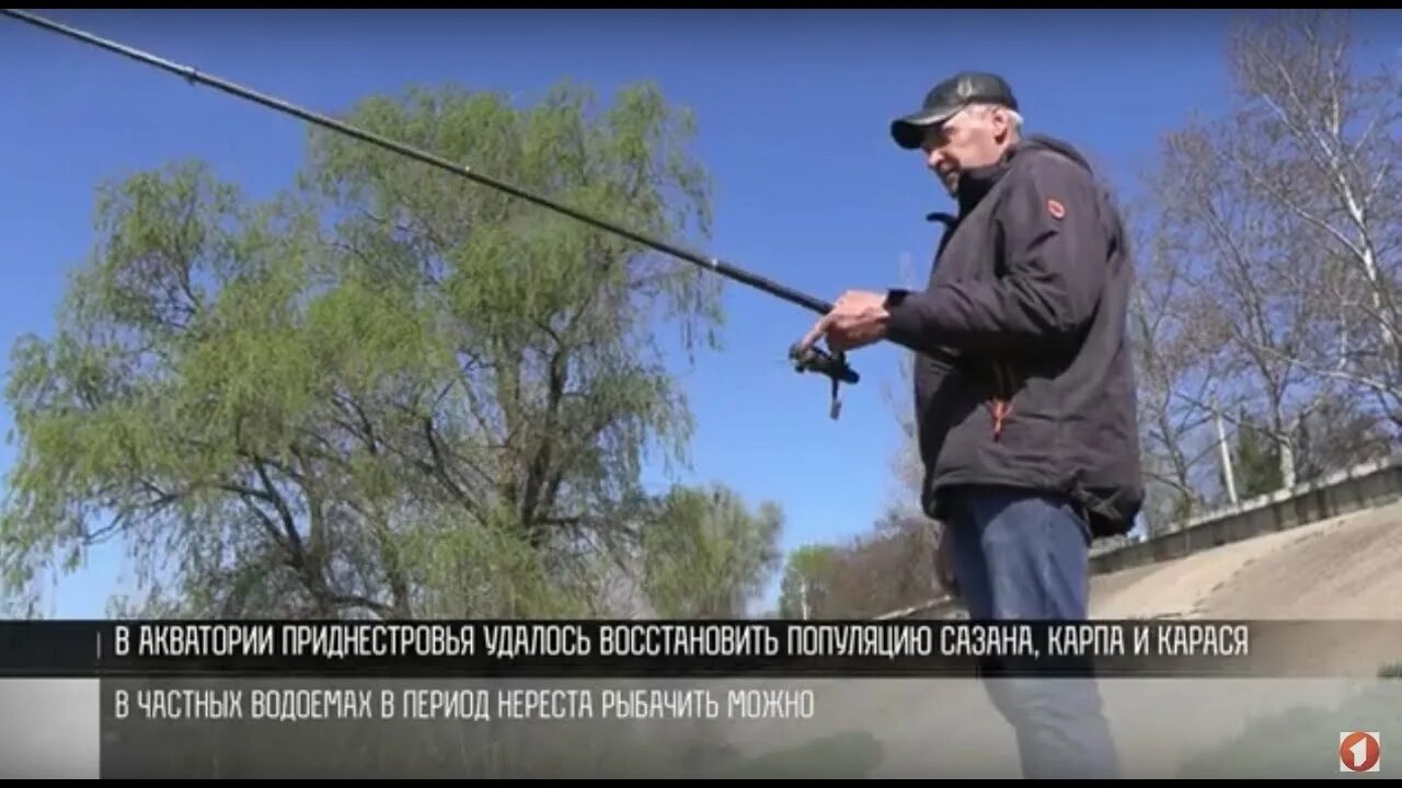 Рыбалка запрещена. Нерест рыбалка запрещена. Рыбалка нерестовый запрет 2023. Места рыбалки в ПМР. Запрет на рыбалку в брянской области