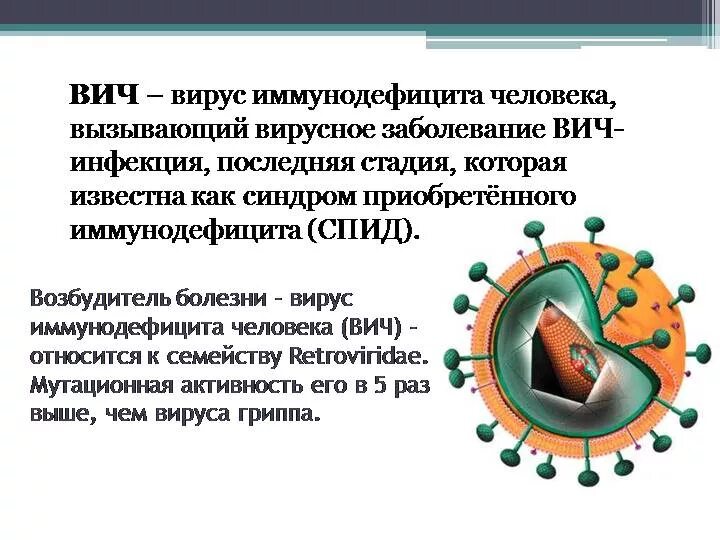 Заболевание спидом вызывают. Вирус иммунодефицита (ВИЧ). СПИД это вирусное заболевание. Описание вируса СПИДА. ВИЧ описание вируса.