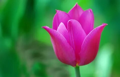 Порно Троицк Челябі облысы