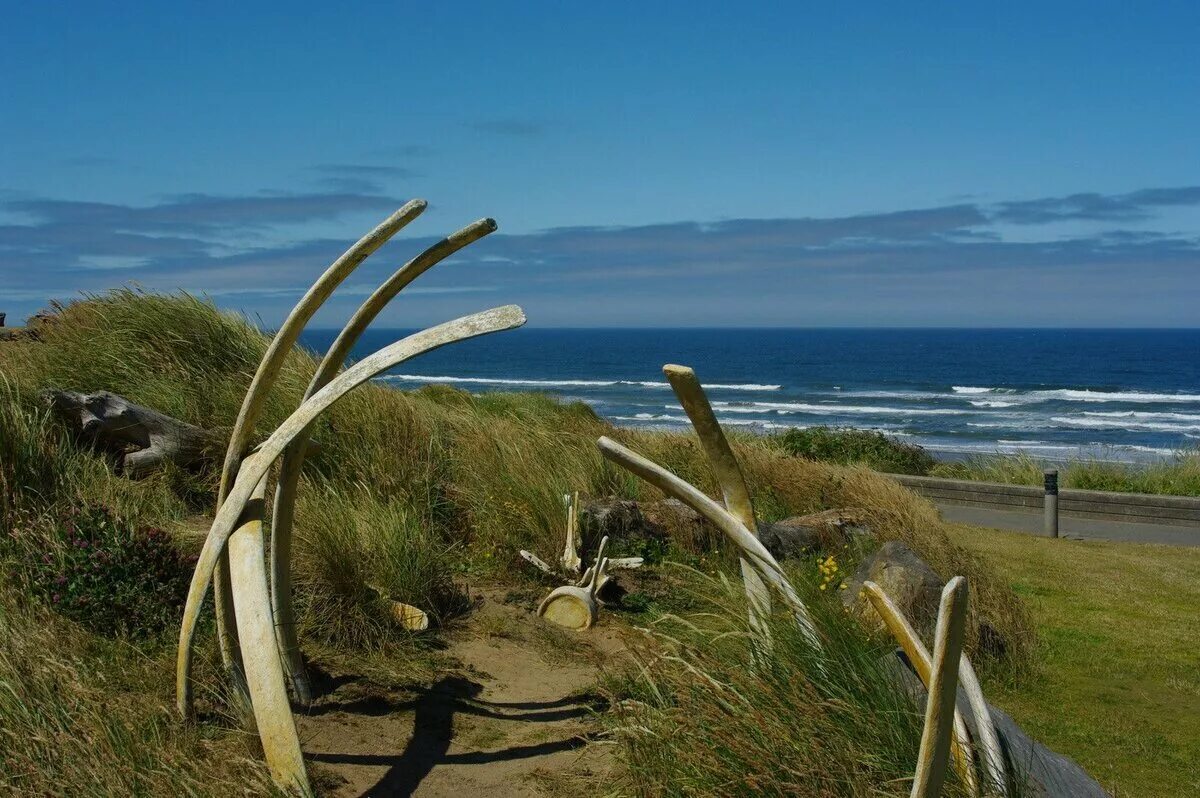 Китовая аллея. Китовая аллея. Китовая аллея чукотка. Китовая аллея. Китовая аллея чукотка.